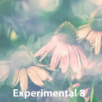 Sandro – Experimental 8