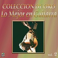 Různí interpreti – Colección De Oro: Lo Mejor En Guitarra, Vol. 2