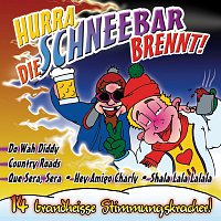 Diverse Interpreten – Hurra, die Schneebar brennt!