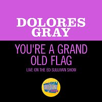 Přední strana obalu CD You're A Grand Old Flag [Live On The Ed Sullivan Show, July 4, 1954]