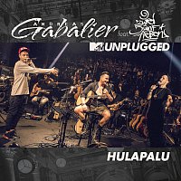 Andreas Gabalier, 257ers – Hulapalu [MTV Unplugged]