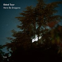 Oded Tzur – Here Be Dragons