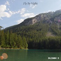 Dilemma D – Fly by Night
