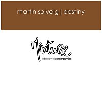 Martin Solveig – Destiny (Reworked Mix)