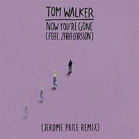 Tom Walker, Zara Larsson – Now You're Gone (Jerome Price Remix)