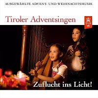 Unterinntaler Weihnachtsblaser, Latzfonser Viergesang, Brunndlmusig – Tiroler Adventsingen - Zuflucht ins Licht! - Ausgewählte Advent- und Weihnachtsmusik - Ausgabe 5 (Live)