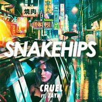 Snakehips, Zayn – Cruel