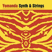 Přední strana obalu CD Synth & Strings