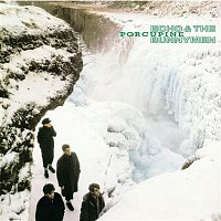 Echo & The Bunnymen – Porcupine