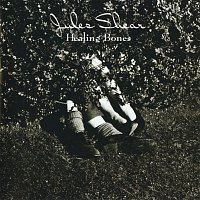 Jules Shear – Healing Bones
