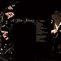 A Fine Frenzy – The Well [Demo]