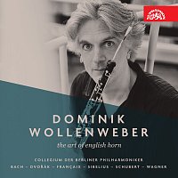 Dominik Wollenweber – The Art of English Horn FLAC