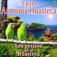 Trío Armonia Huasteca – Los Pericos De La Huasteca