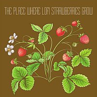 Super Food – The Place Where Lofi Strawberries Grow
