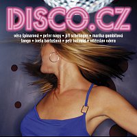 Různí interpreti – Disco.cz CD