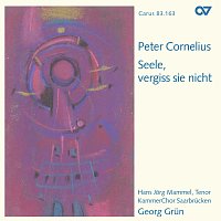 Přední strana obalu CD Peter Cornelius: Seele, vergiss sie nicht