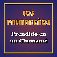 Los Palmarenos – Prendido en un Chamamé