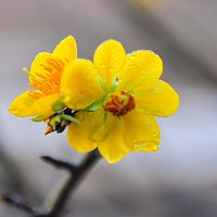 Přední strana obalu CD Wrong Oasis