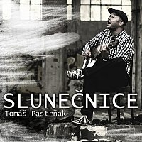 Tomáš Pastrňák – Slunečnice MP3