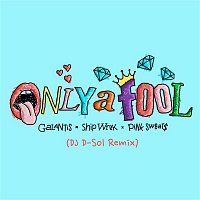 Přední strana obalu CD Only A Fool (DJ D-Sol Remix)