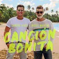 Carlos Vives, Ricky Martin – Canción Bonita