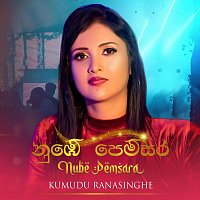 Přední strana obalu CD Nube Pemsara