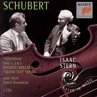Schubert:  Violin Sonatas;  Haydn:  Violin Concerto