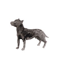 PJ Harvey – A Dog Called Money / I'll Be Waiting