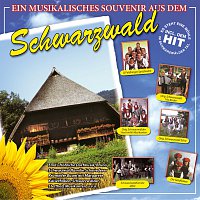 Přední strana obalu CD Ein Musikalisches Souvenir aus dem Schwarzwald