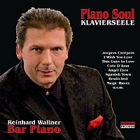 Reinhard Wallner – Piano Soul (Klavierseele)