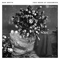 Sam Smith – Too Good At Goodbyes [Acoustic]