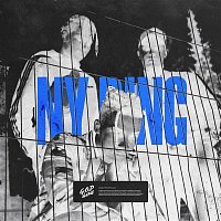 Přední strana obalu CD Ny Ring