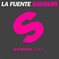 Přední strana obalu CD Bansuri