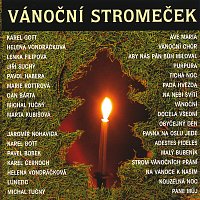 Různí interpreti – Vanocni stromecek