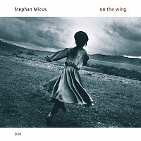 Stephan Micus – On The Wing