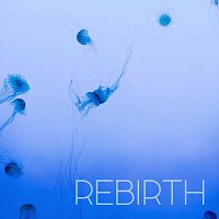 Přední strana obalu CD Rebirth