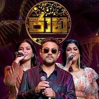 Přední strana obalu CD Jaana (Live)