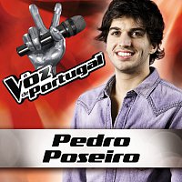 Pedro Poseiro – Foo Fighters - Learn To Fly
