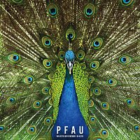 Pfau