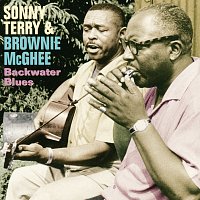 Sonny Terry, Brownie McGhee – Backwater Blues