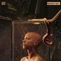 Přední strana obalu CD Wanderlust