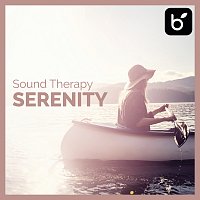David Lyndon Huff – Sound Therapy: Serenity