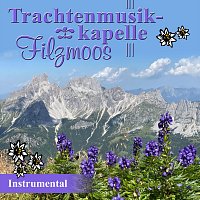 Trachtenmusikkapelle Filzmoos Instrumental