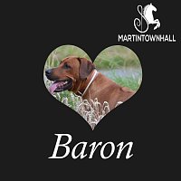 Martin Townhall – Baron