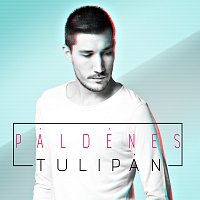Pál Dénes – Tulipán