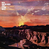 Noel Gallagher's High Flying Birds – If Love Is The Law