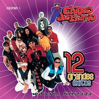 Chicos De Barrio – 12 Grandes exitos  Vol. 1