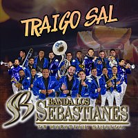 Banda Los Sebastianes De Saúl Plata – Traigo Sal