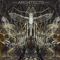 Architects – Ruin
