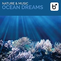 David Arkenstone – Nature & Music: Ocean Dreams